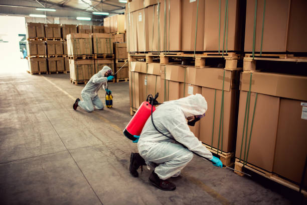Best Ant Control Services  in Port Byron, NY