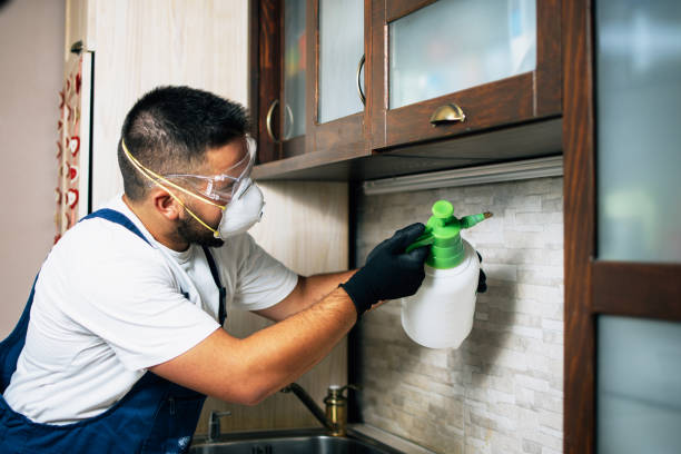 Best Pest Control for Businesses  in Port Byron, NY