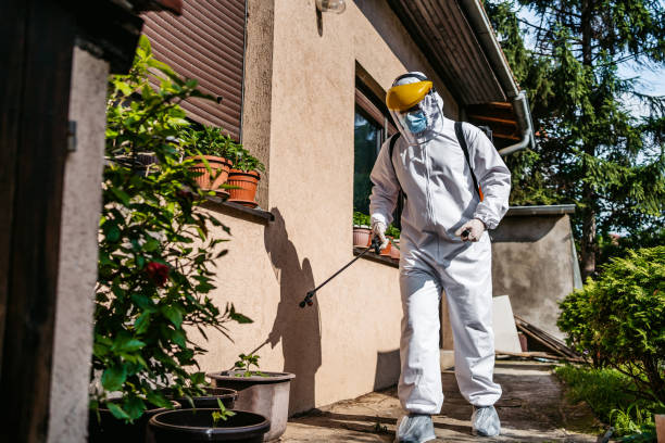 Best Wasp Removal Services  in Port Byron, NY