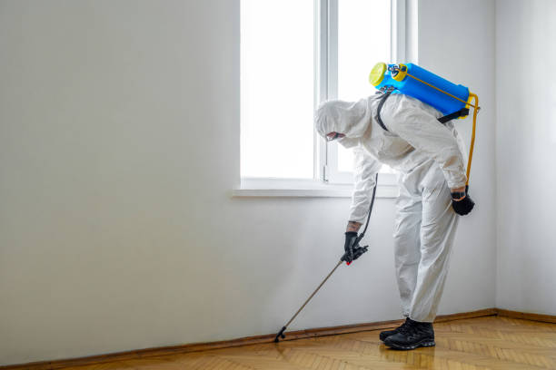 Best Residential Pest Control  in Port Byron, NY