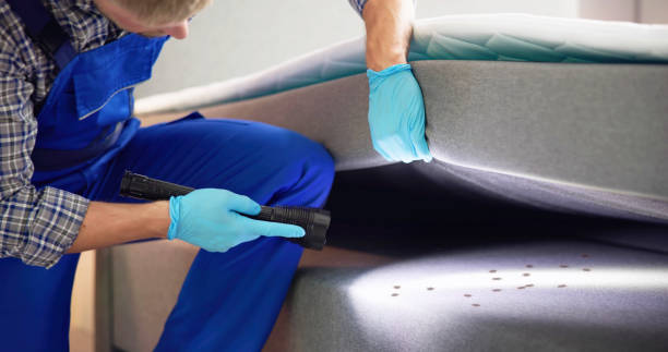 Best Best Pest Control Companies  in Port Byron, NY