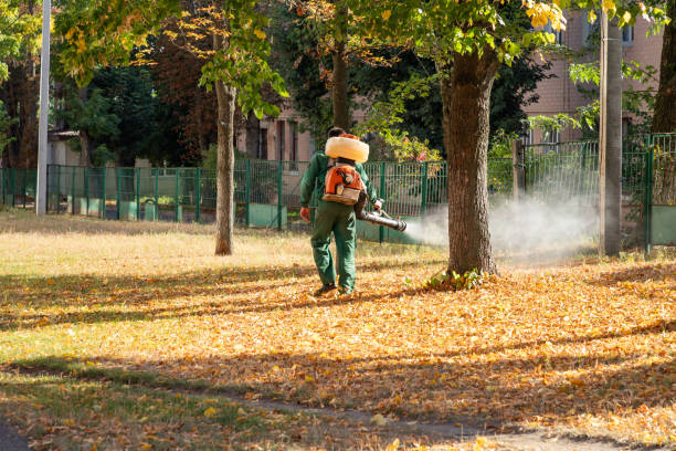 Best Bird Control  in Port Byron, NY