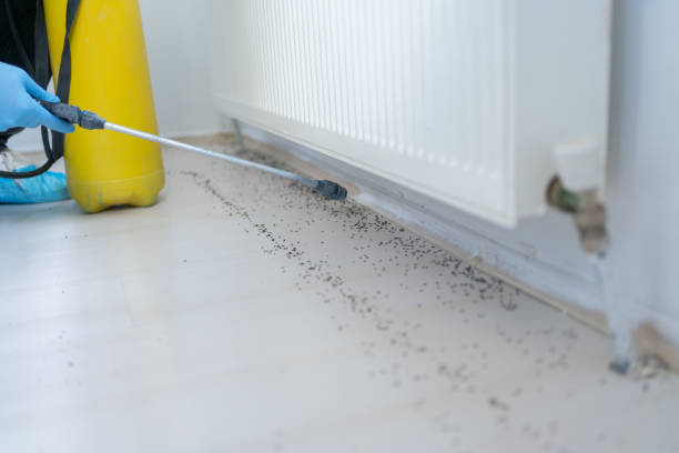Best Commercial Pest Control Services  in Port Byron, NY