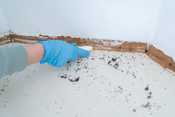 Best Best Pest Control Companies  in Port Byron, NY