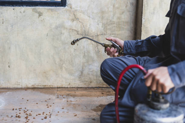 Best Local Pest Control Services  in Port Byron, NY